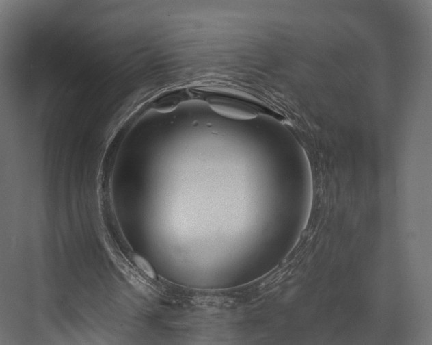 X0000076310242200610061337