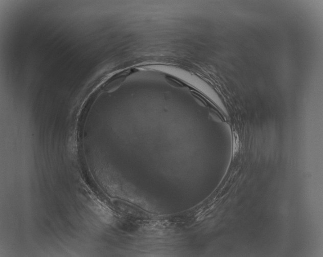 X0000076310243200610061337