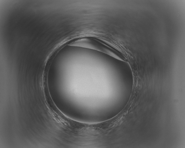 X0000076310244200610061337