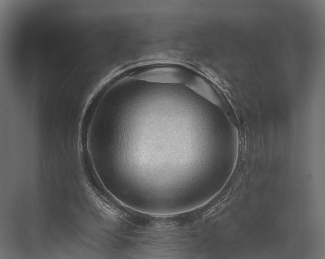 X0000076310248200610061337