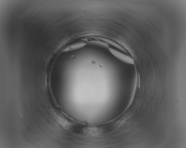 X0000076310253200610061337