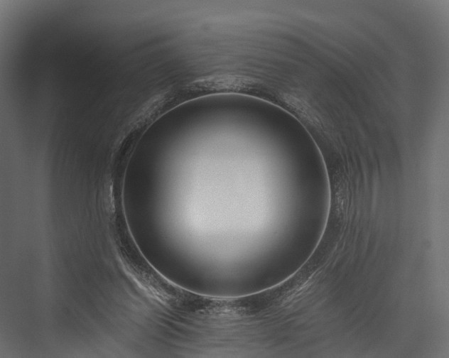 X0000076310254200610061337