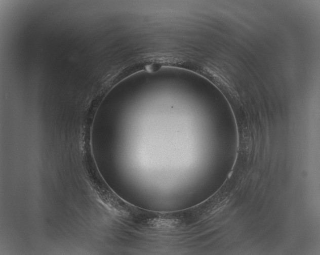 X0000076310255200610061337