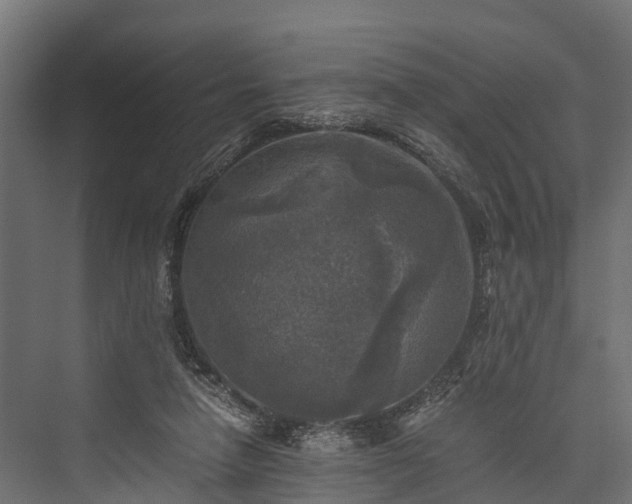 X0000076310258200610061337