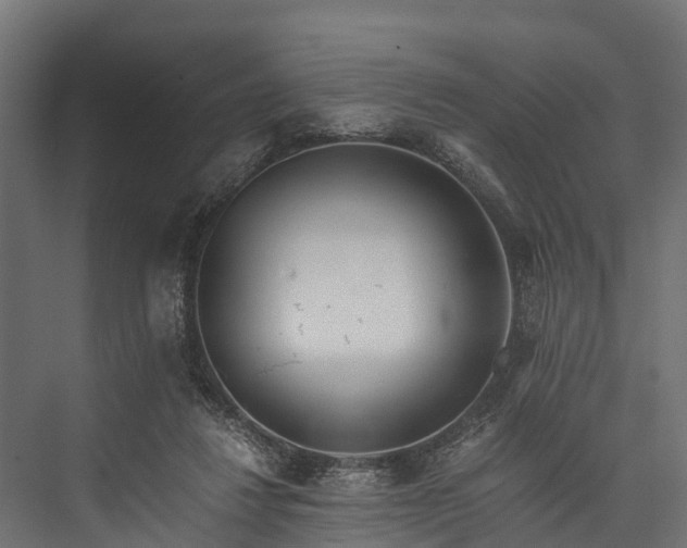 X0000076310260200610061338