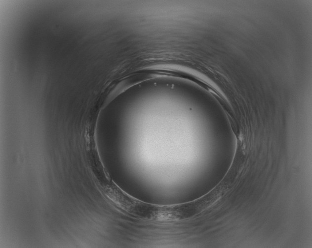 X0000076310264200610061338