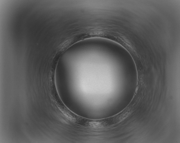 X0000076310265200610061338