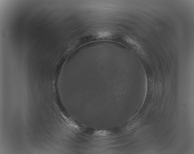 X0000076310269200610061338