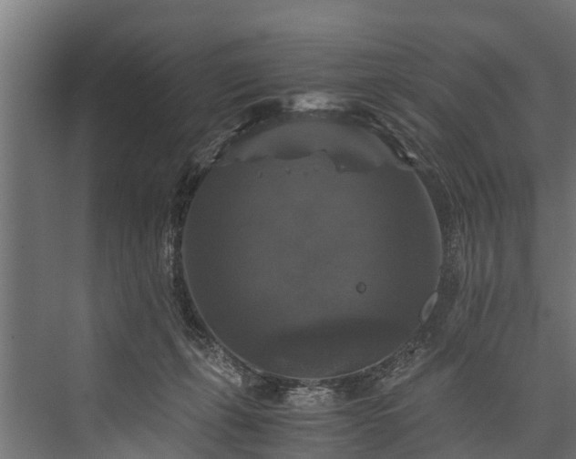 X0000076310271200610061338