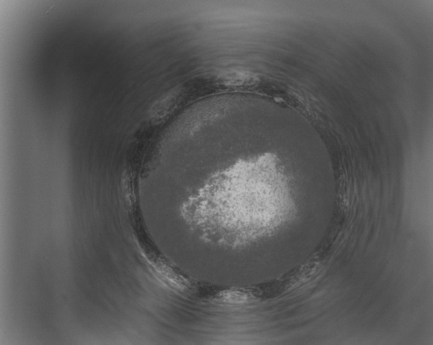 X0000076310272200610061338