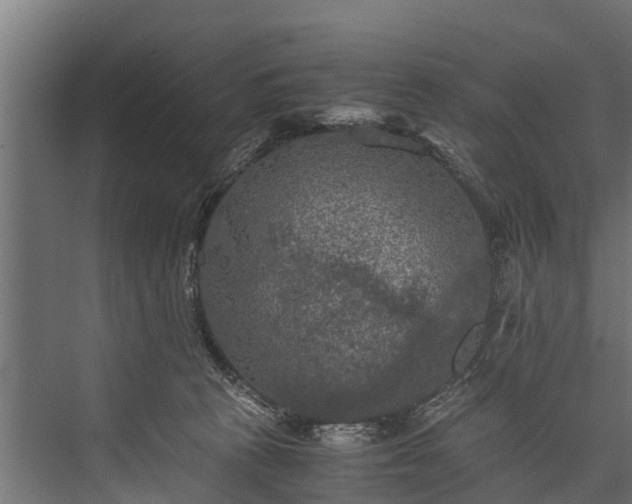 X0000076310273200610061338