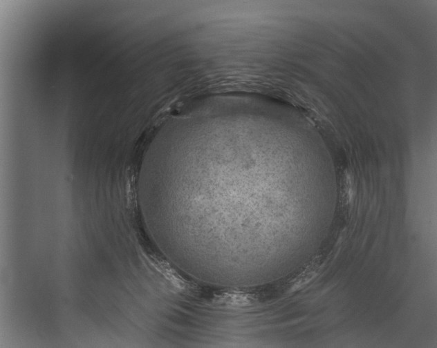 X0000076310276200610061338