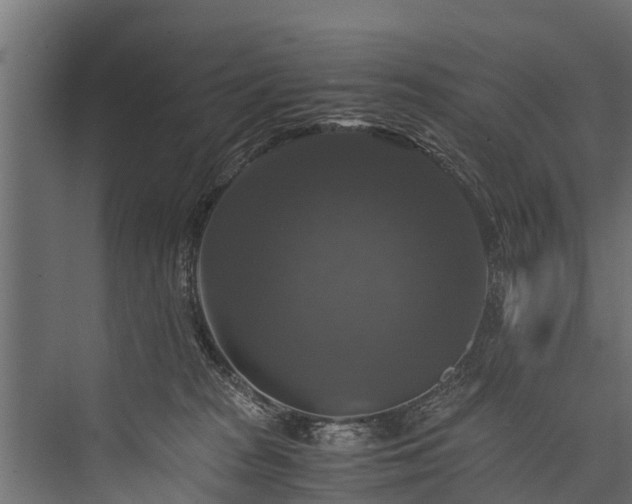 X0000076310277200610061338