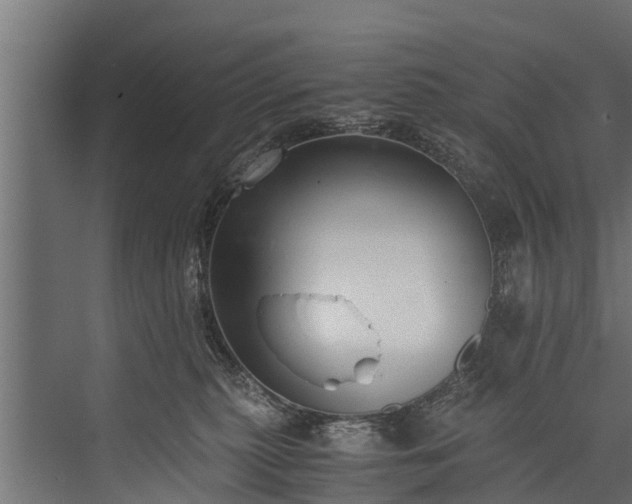 X0000076310279200610061338