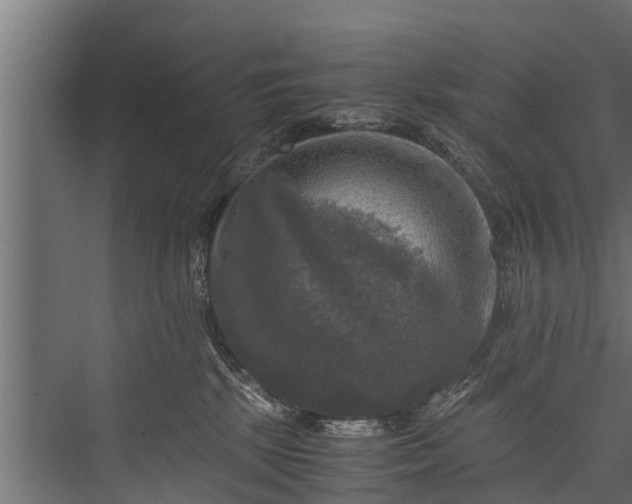 X0000076310281200610061338