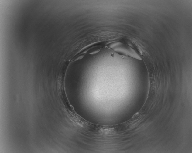 X0000076310283200610061338