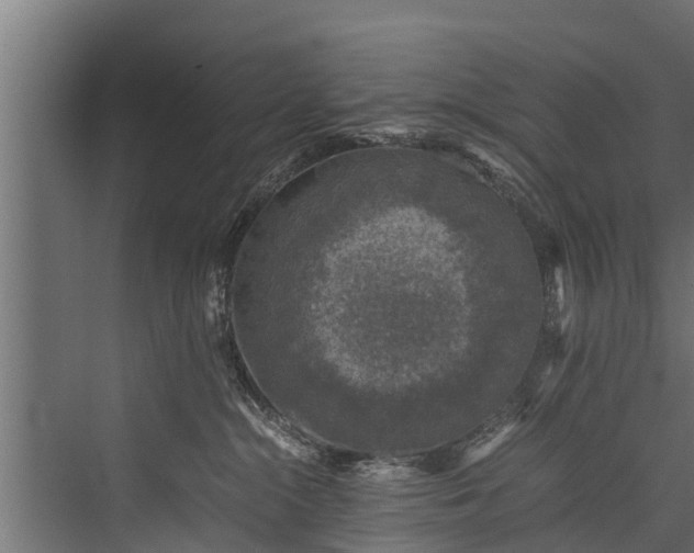 X0000076310284200610061338