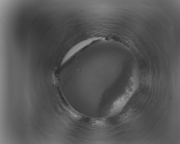 X0000076310285200610061338