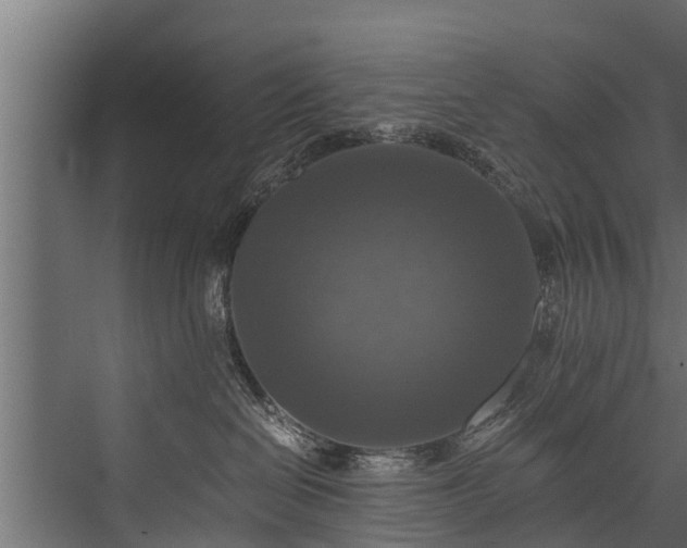 X0000076310286200610061338