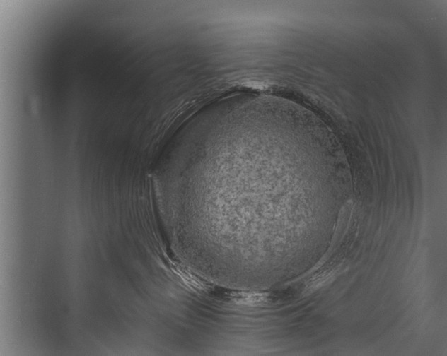 X0000076310288200610061338