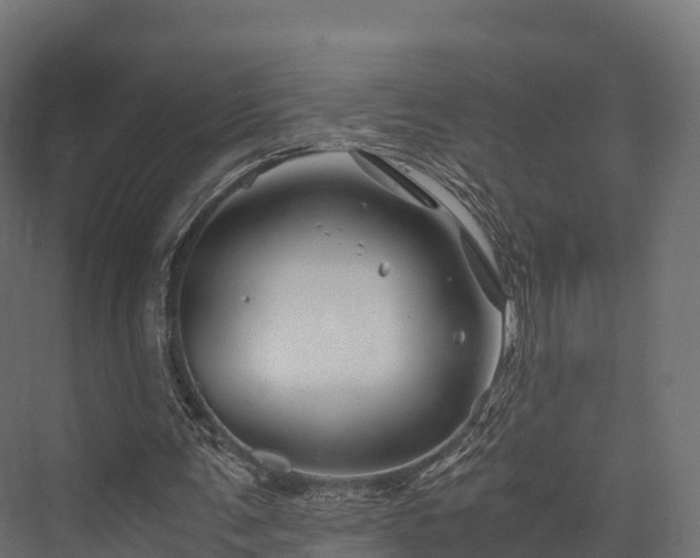 X0000076310291200610061337