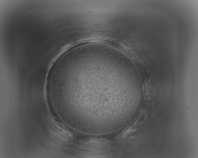 X0000076310292200610061337