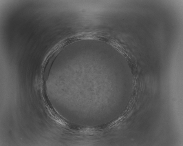X0000076310293200610061337