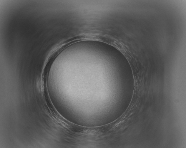 X0000076310294200610061337