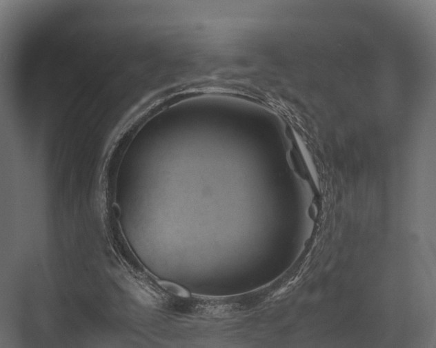 X0000076310295200610061337