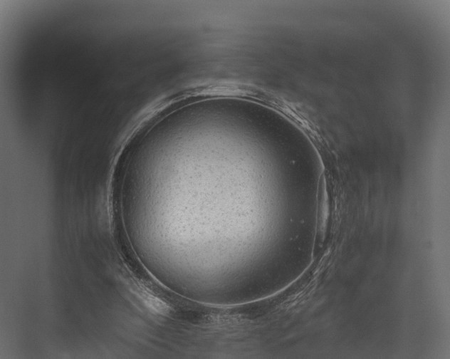 X0000076310296200610061337