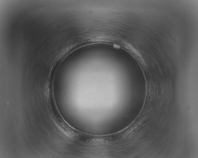 X0000076310298200610061337