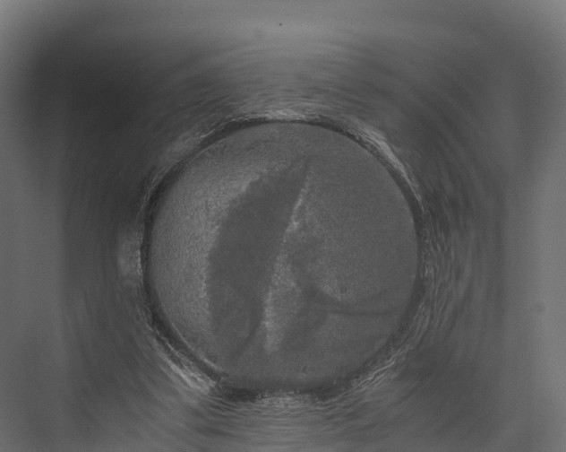 X0000076310299200610061337