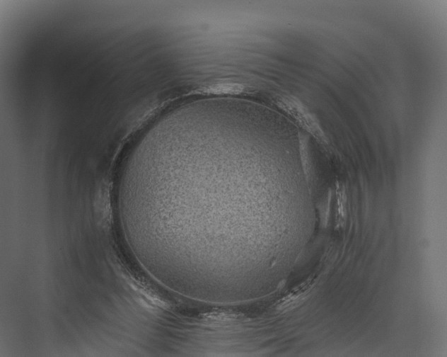 X0000076310300200610061337