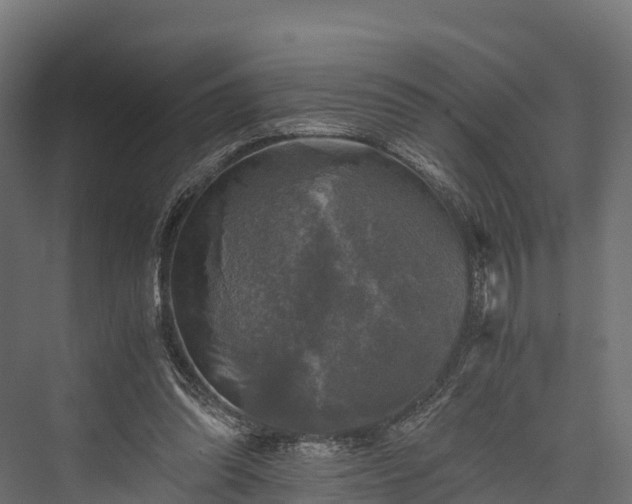 X0000076310302200610061337