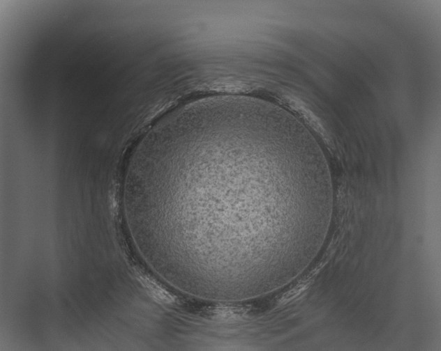 X0000076310305200610061337