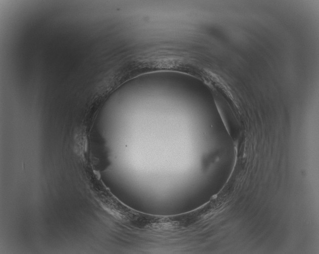 X0000076310307200610061337