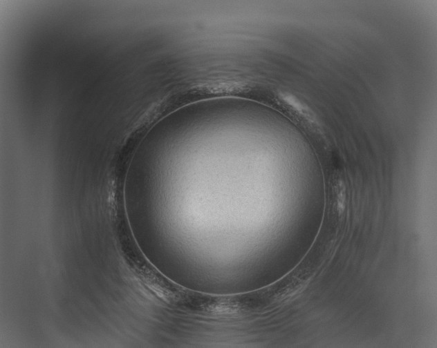 X0000076310308200610061337