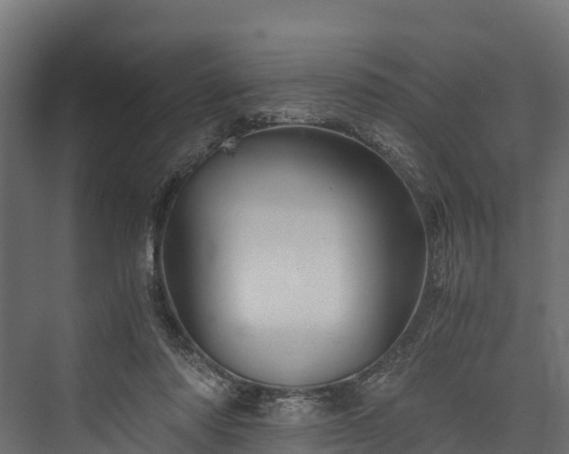X0000076310310200610061337