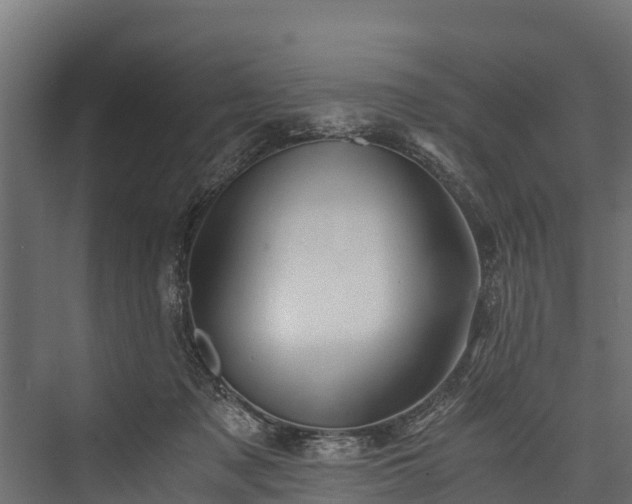 X0000076310317200610061337