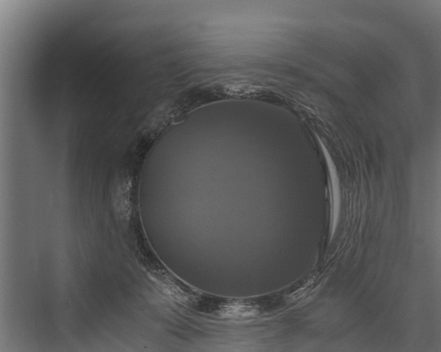 X0000076310319200610061337