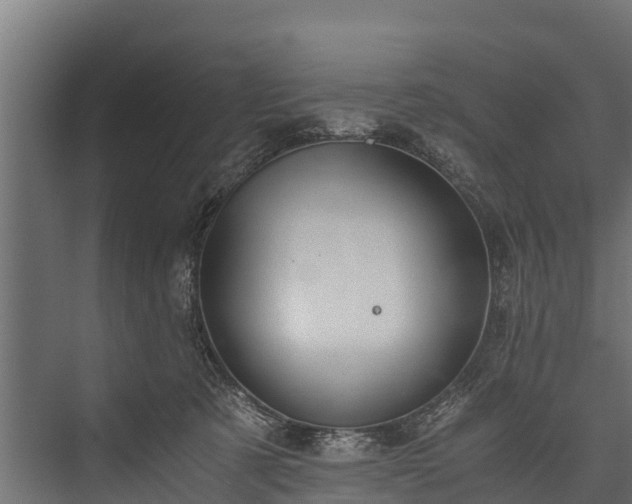 X0000076310321200610061337