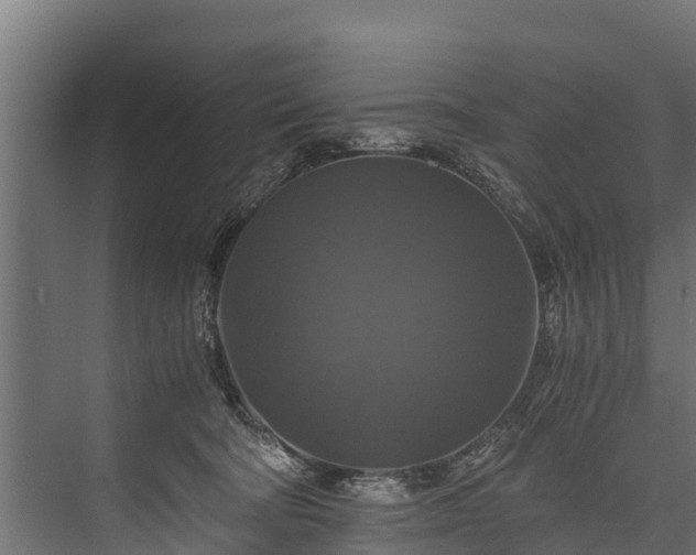 X0000076310322200610061337