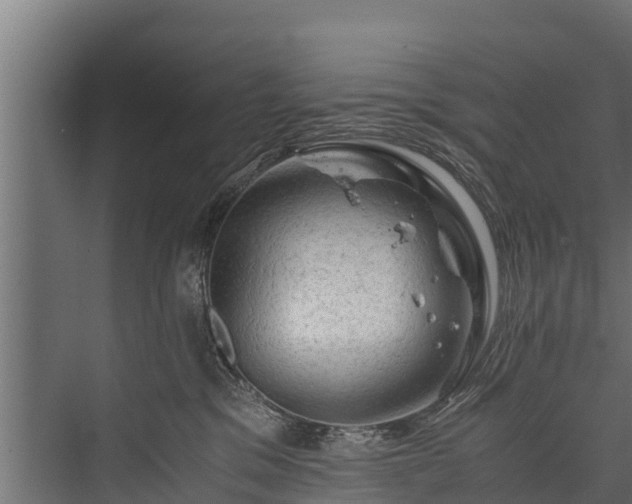 X0000076310329200610061337