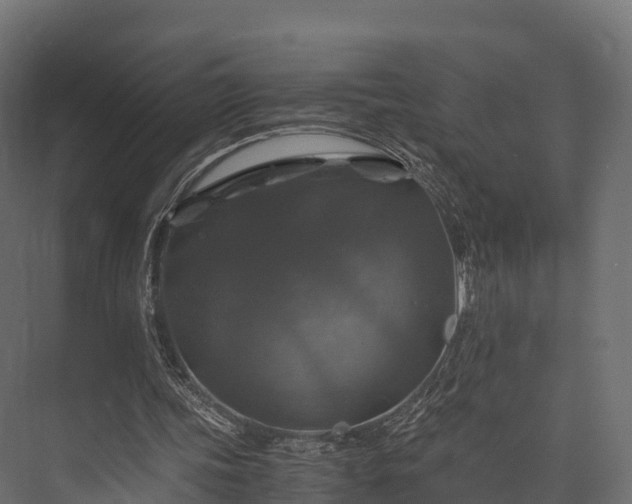 X0000076310339200610061336