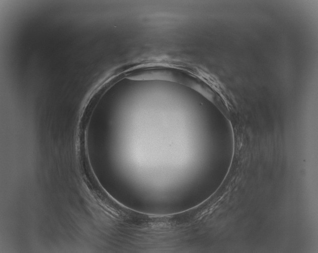 X0000076310344200610061336
