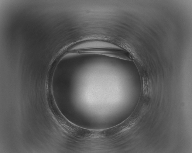 X0000076310348200610061336
