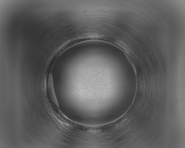 X0000076310350200610061336