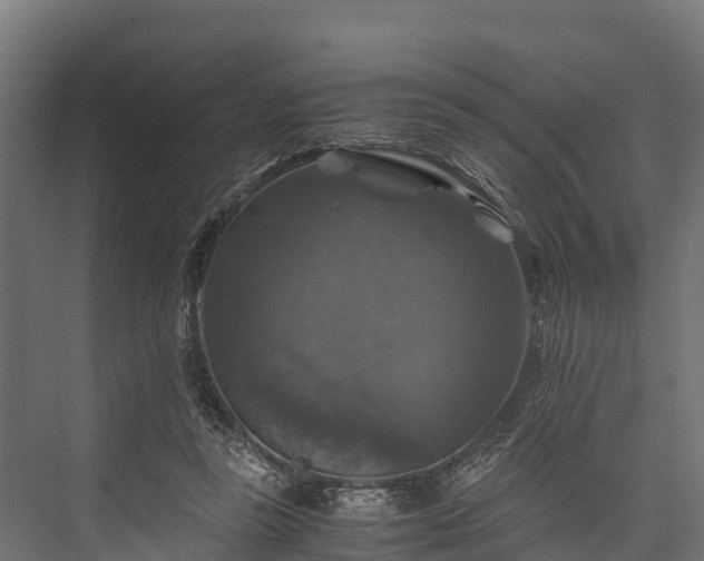 X0000076310355200610061336