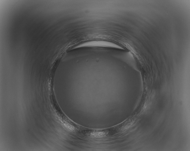 X0000076310357200610061336