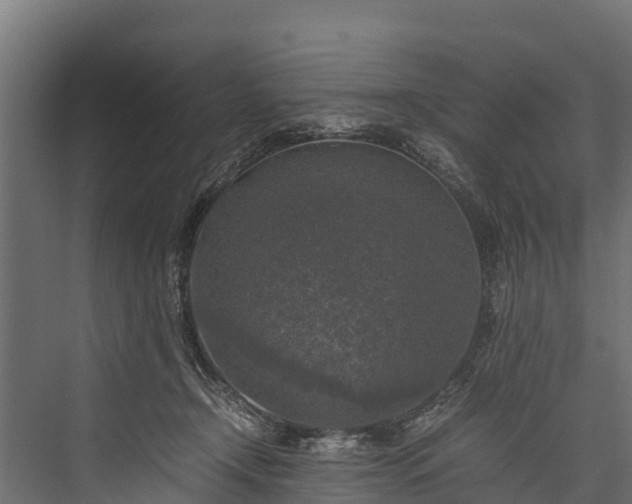 X0000076310366200610061336